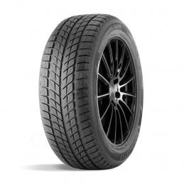 Doublestar Winterking DW09 235/55R17 99T